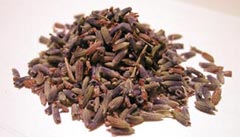 Lavender Buds