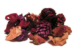 Potpourri
