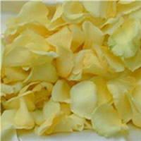 Fresh Petals: Special Colors