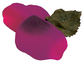 Beauty Silk Rose Petals silk%20beauty New Products: Premium Silk Rose Petals